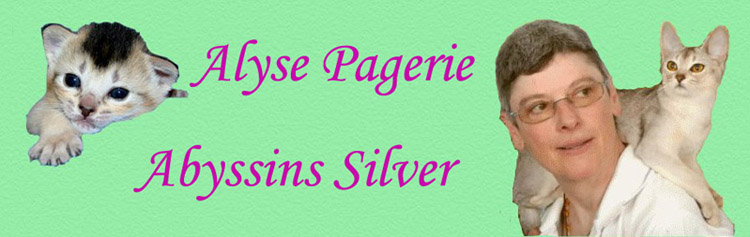 logo alyse pagerie