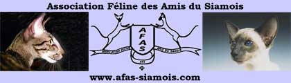 Association Feline des Amis du Siamois