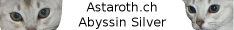 Banni&egrave;re d'Astaroth Abyssin