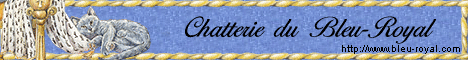 Les Chartreux de la Chatterie du Bleu-Royal - Elevage familial de chats chartreux