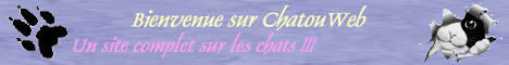 Parlons Chats