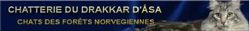 Drakkar d'Asa