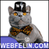 logo webfelin