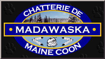 Madawaska