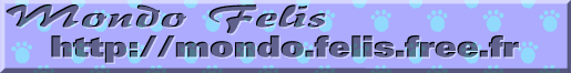 Mondo Felis