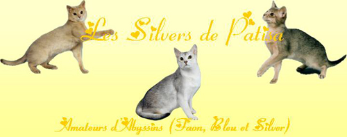 Les Silvers de Patisa