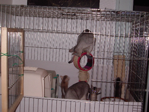 Nurserie